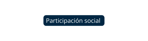 Participación social